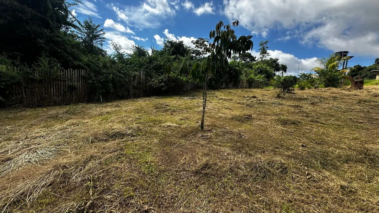 Terreno medindo 10x30 - Foto 4