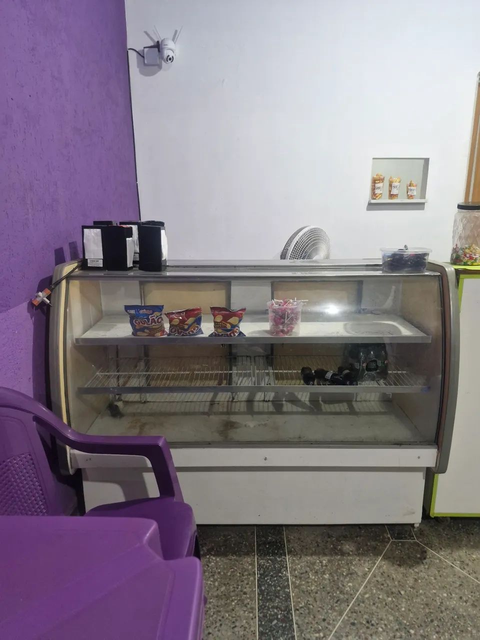 Expositor gelado