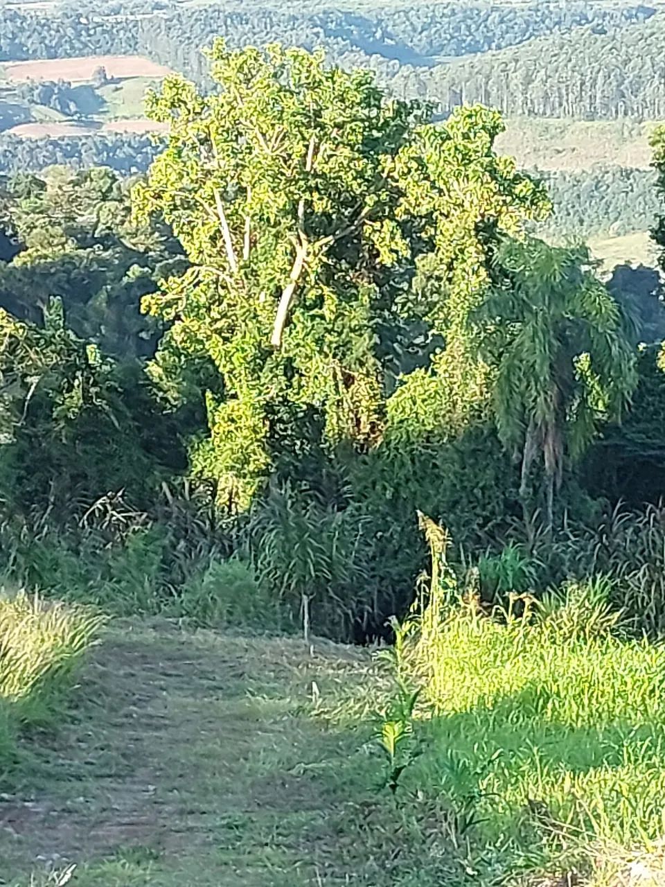 Chácara 