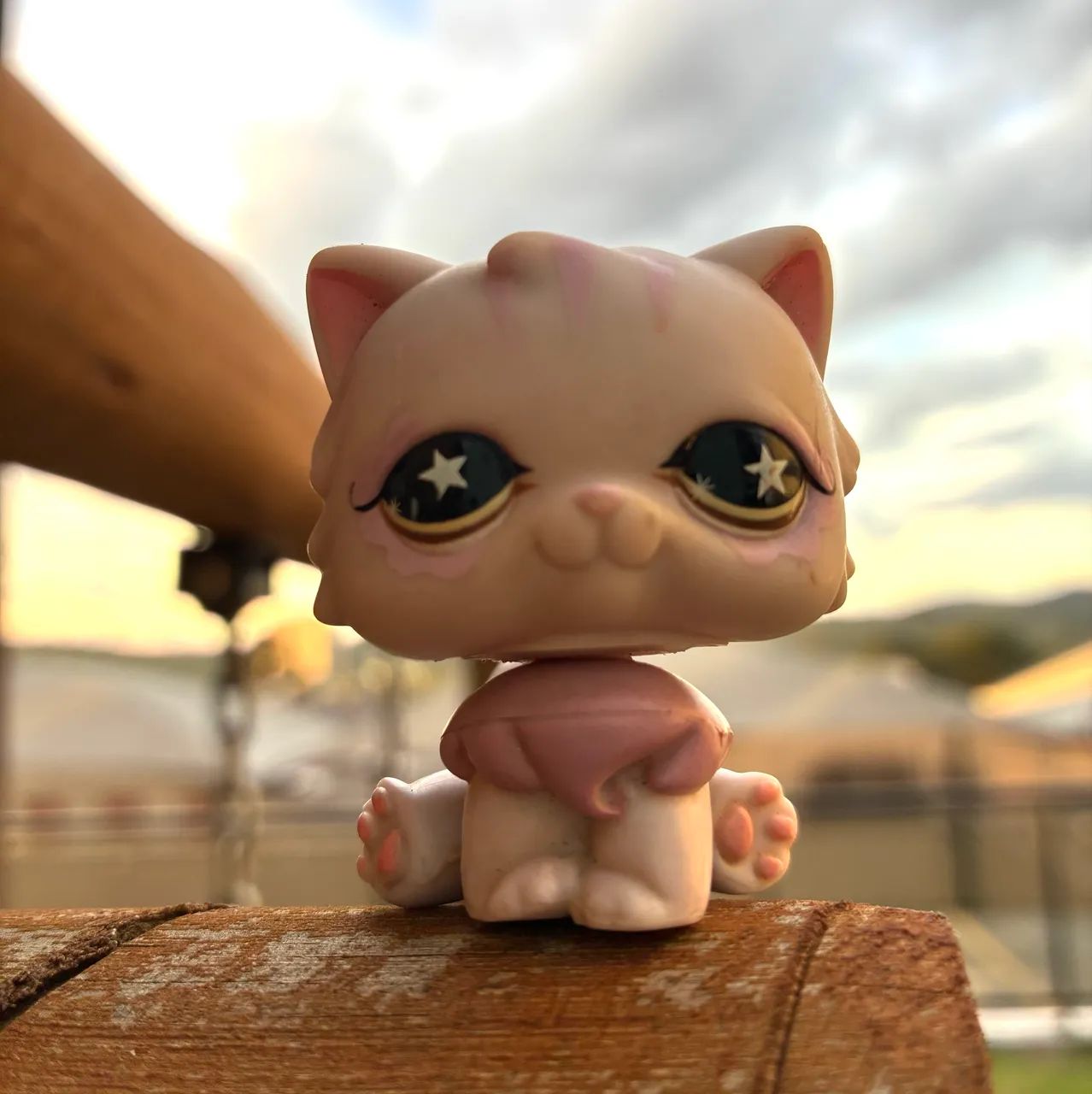 Littlest Pet Shop Gato Persa