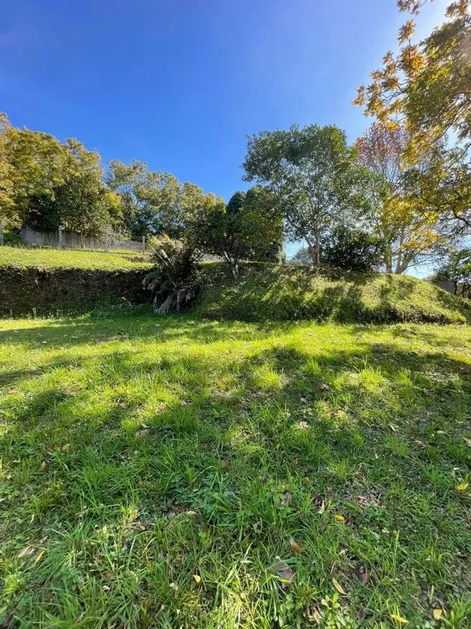 CAXIAS DO SUL - Terreno Padrão - LINHA 40 - Foto 2