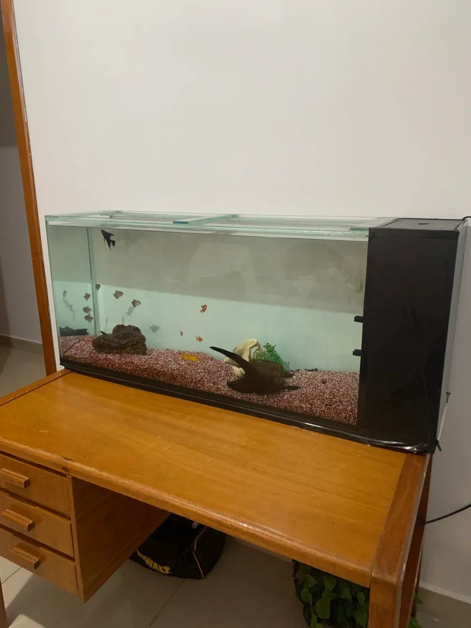 Aquário 236 Litros Funcionando