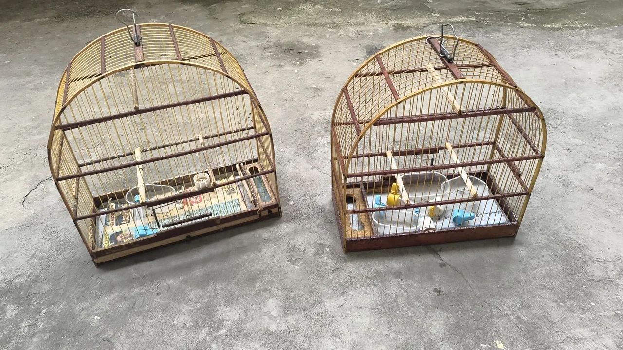 Gaiolas 130 nas 2
