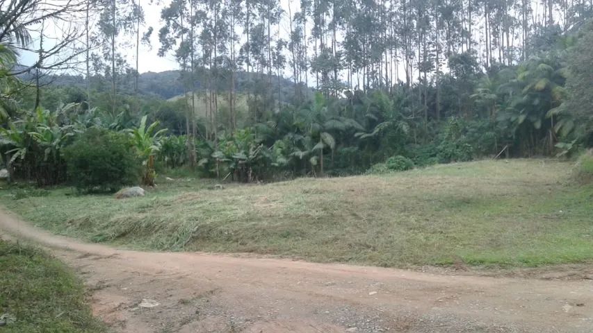 Terreno Escriturado com 3.610m² - Foto 4