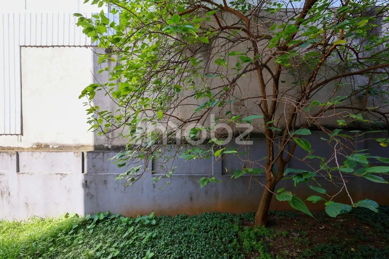 Apartamento à Venda - Morumbi, 2 Quartos, 70 m2 - Foto 5
