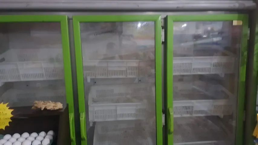 refrigeradora de Hortifruti  - Foto 2