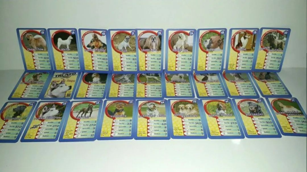 27 cards originais Super Trunfos do título Cães de Raça  - Foto 2
