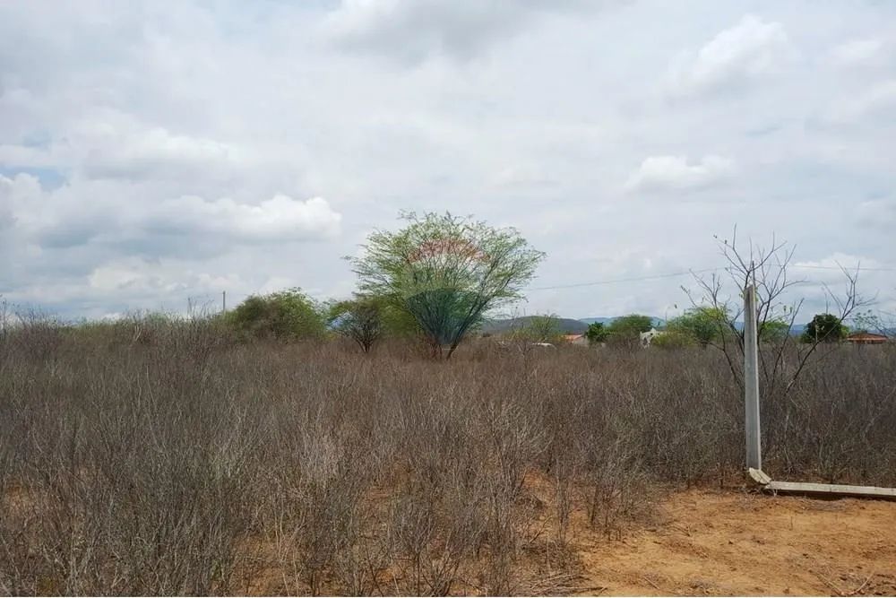 TERRENO A VENDA - Foto 5