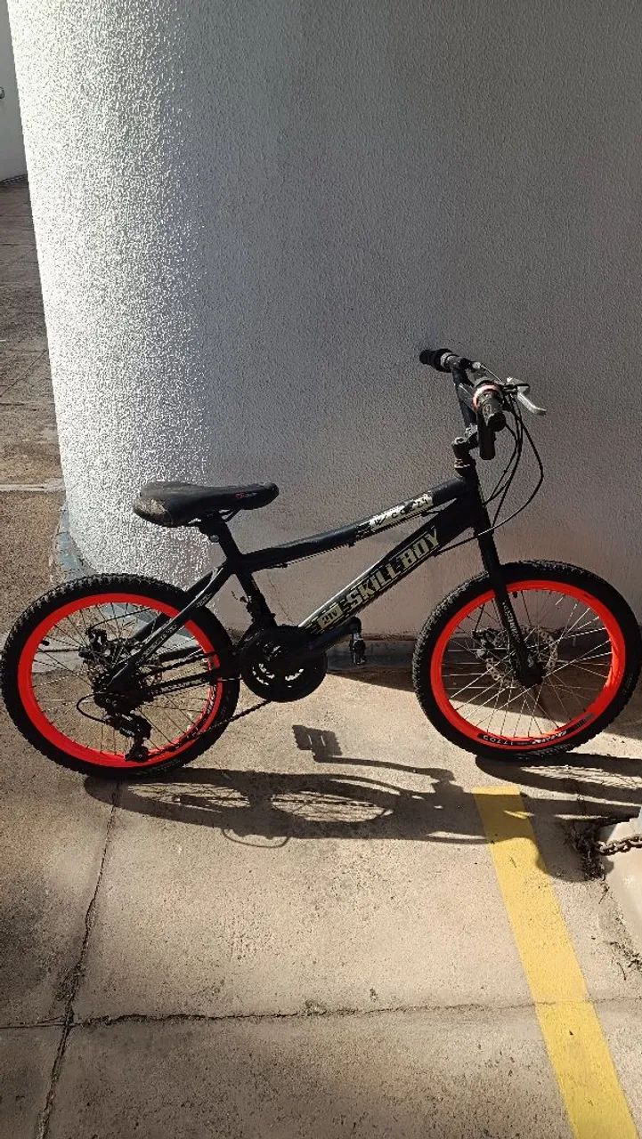Bicicleta Colli Aro 20 
