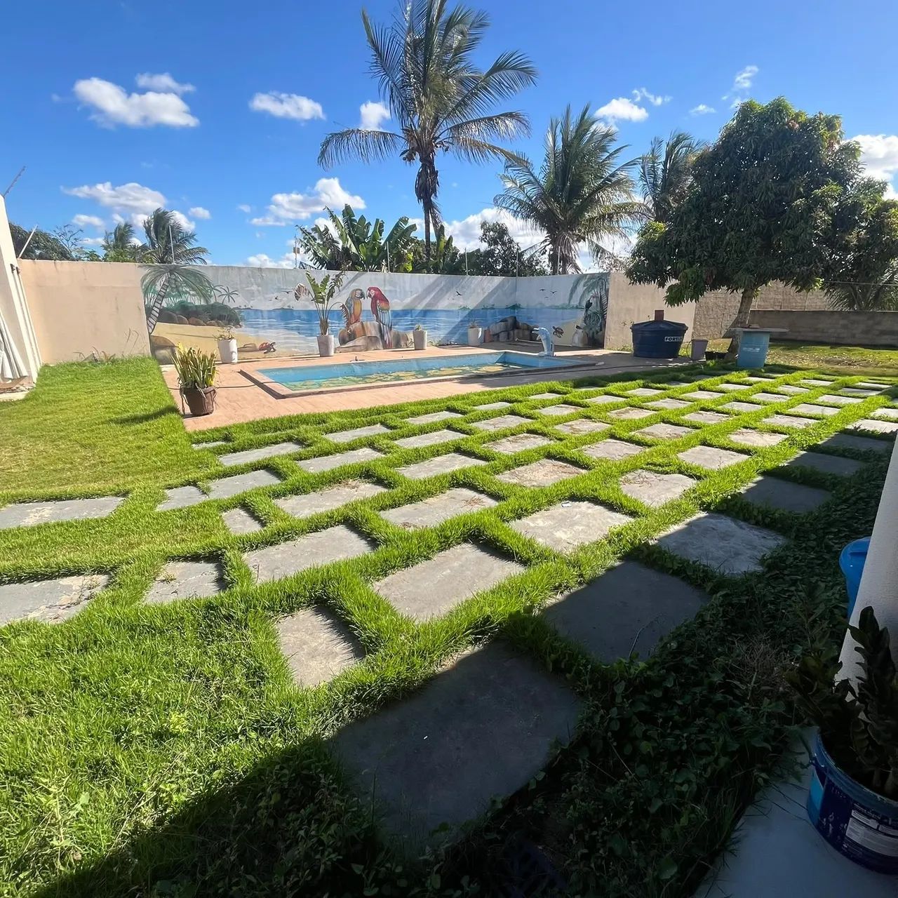 Vendo chácara com piscina na BR 235   - Foto 2