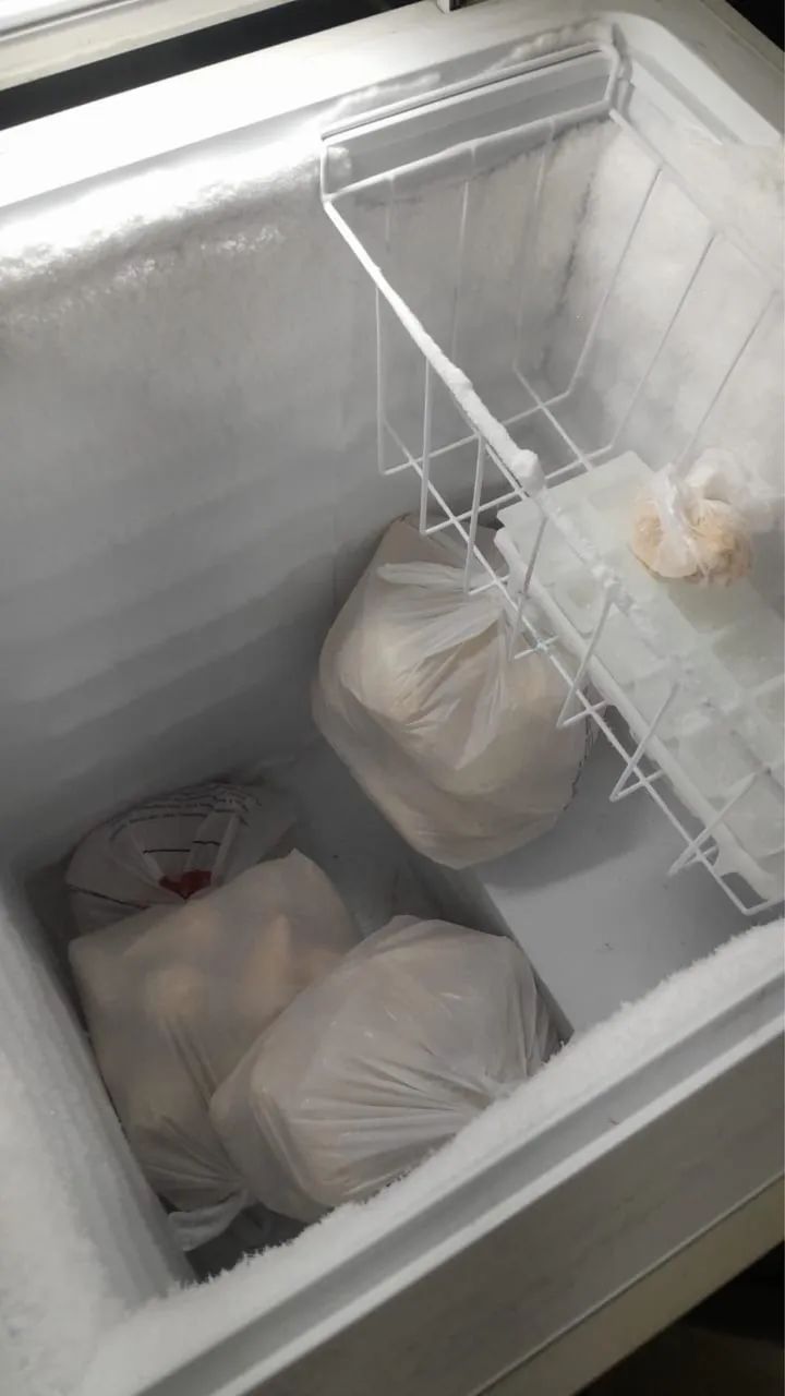 Freezer Electrolux - Foto 3
