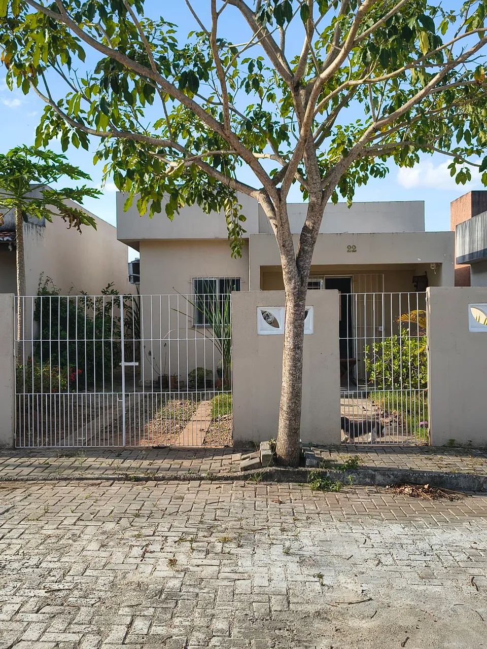 Foto - Carpina - Bairro Novo