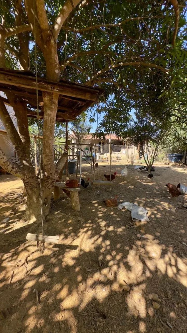 Chácara  - Foto 4