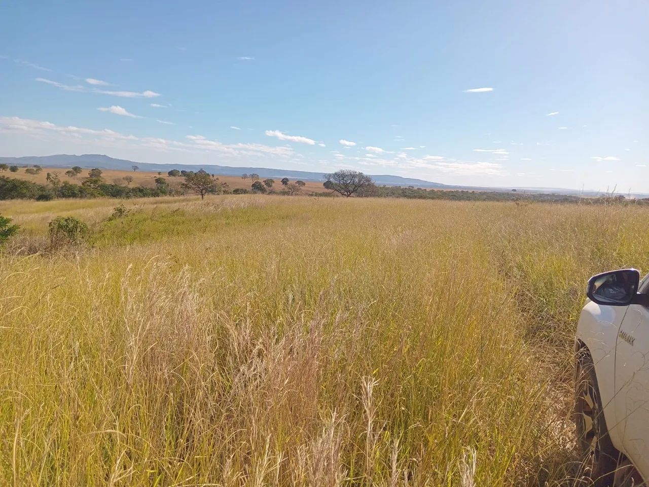 Fazenda de 62 alqueires  - Foto 4