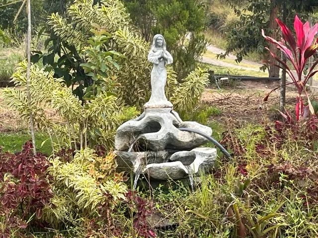 Aluguel de Sitio em Moeda-MG  - Foto 2