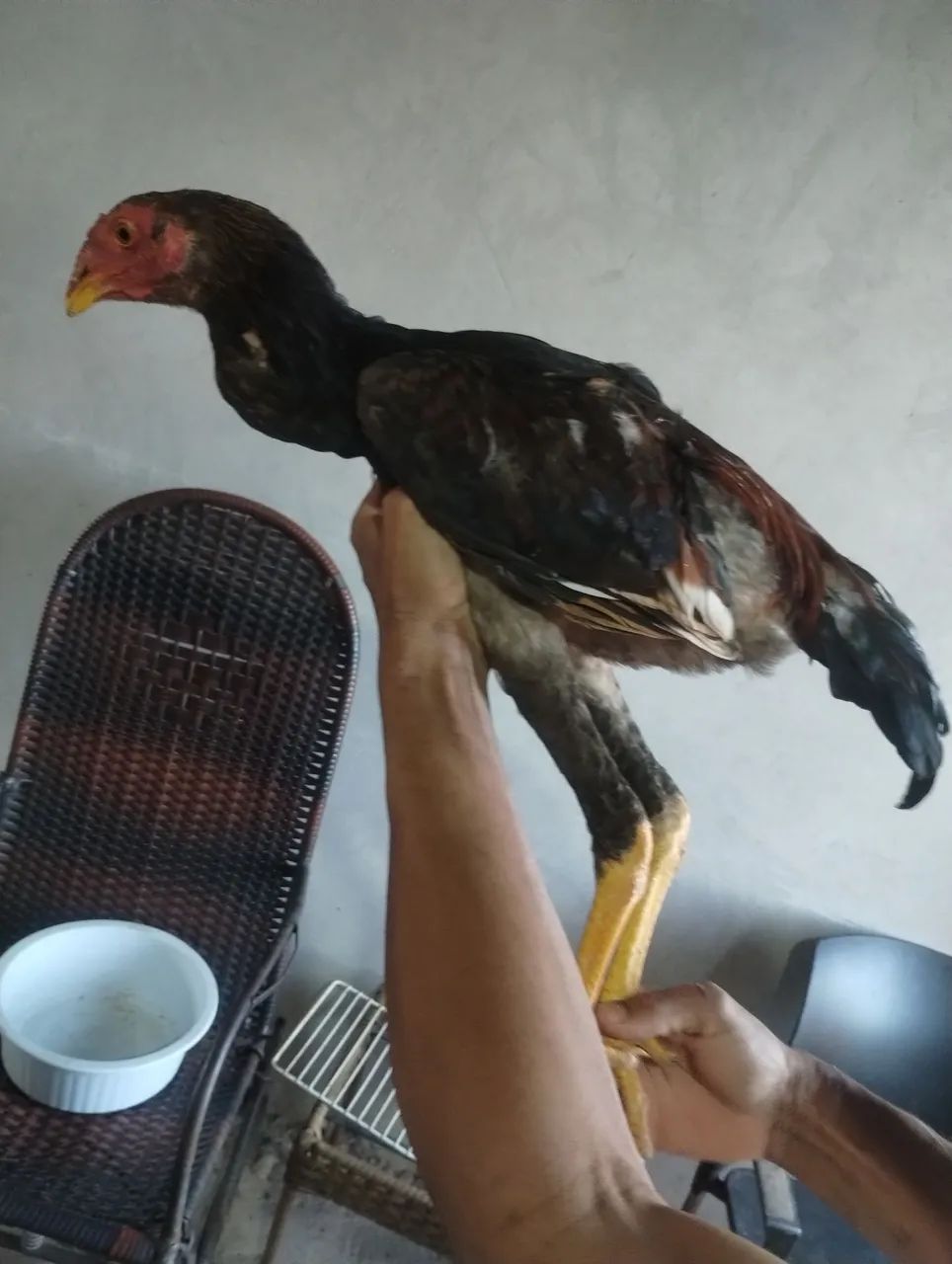 Frango índio  - Foto 2
