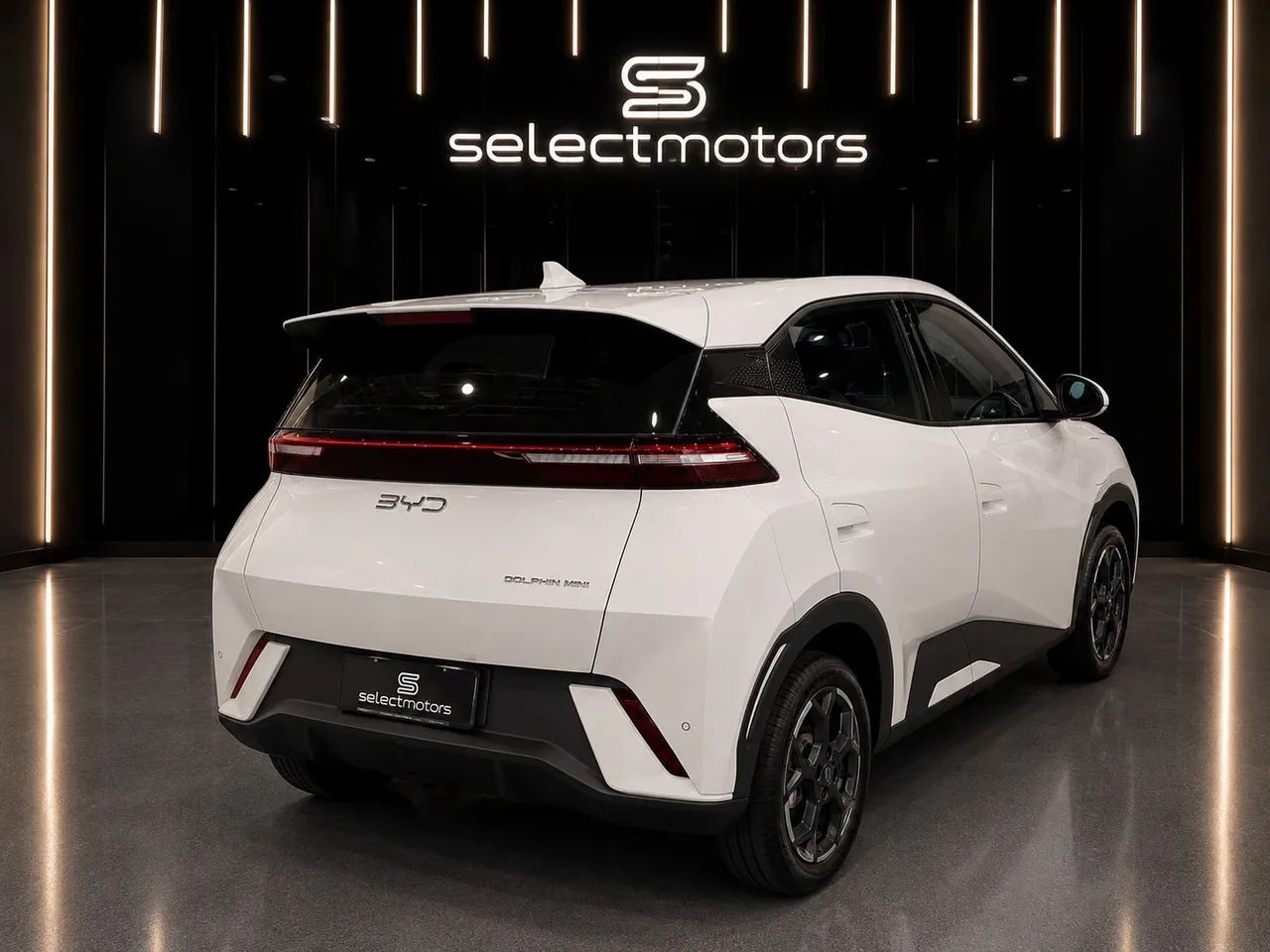 BYD Dolphin Mini GL 2027 - Foto 2