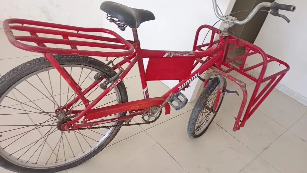 Bicicleta de carga