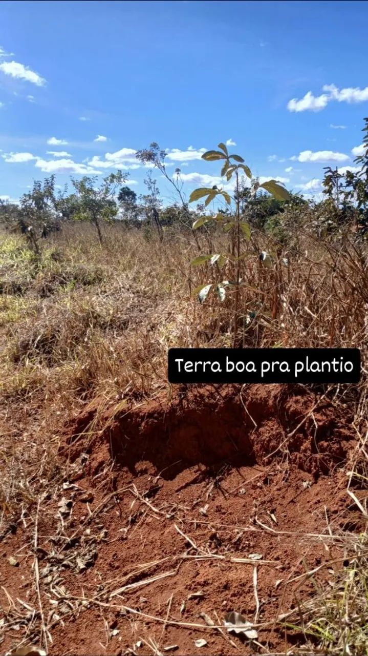 Terreno plano de 1000 mts - Foto 4