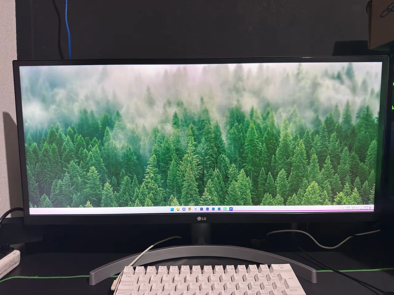 Monitor LG 29 polegadas (LEIA A DESCRIÇÃO)