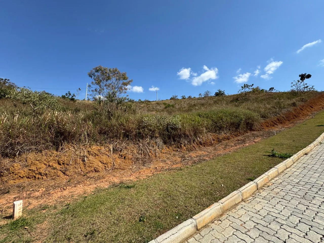 Lote / Terreno - Ecoville - Foto 3