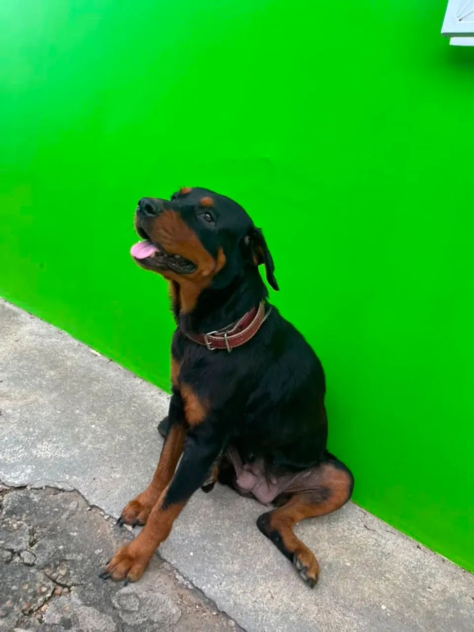 Procura-se namorado URGENTE - Foto 2