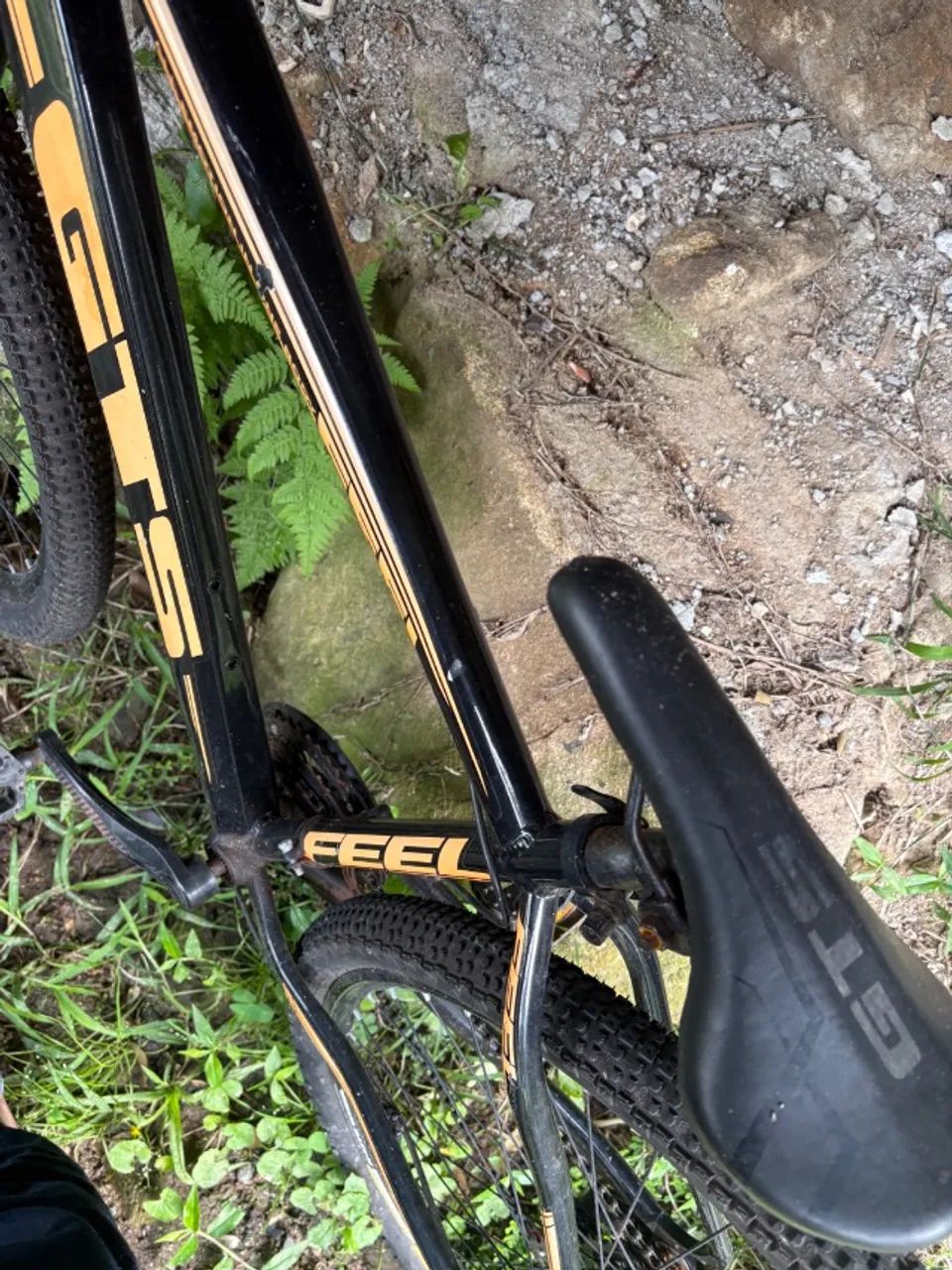Bicicleta 