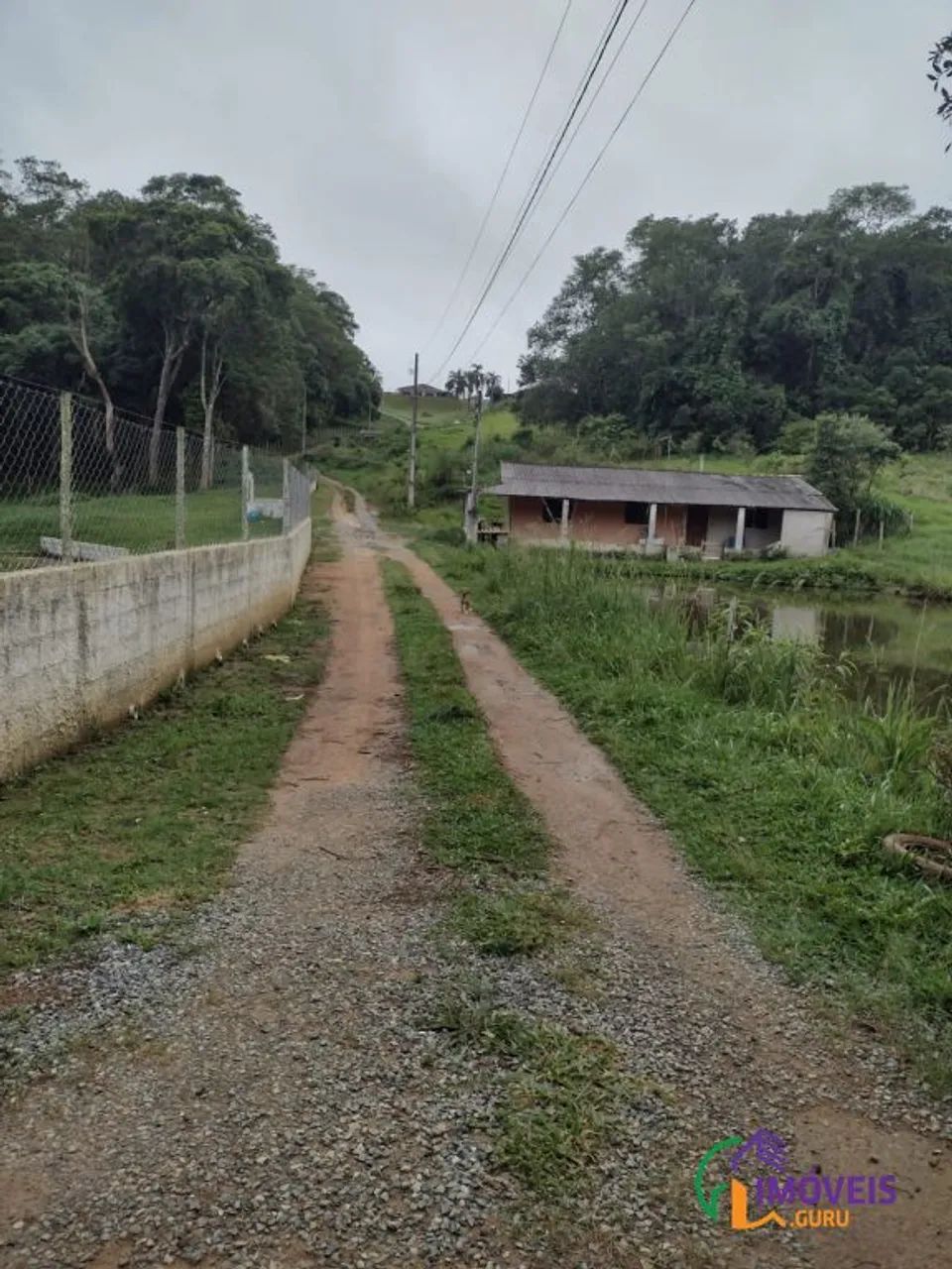 SÍTIO - FEITAL - SP - Foto 2