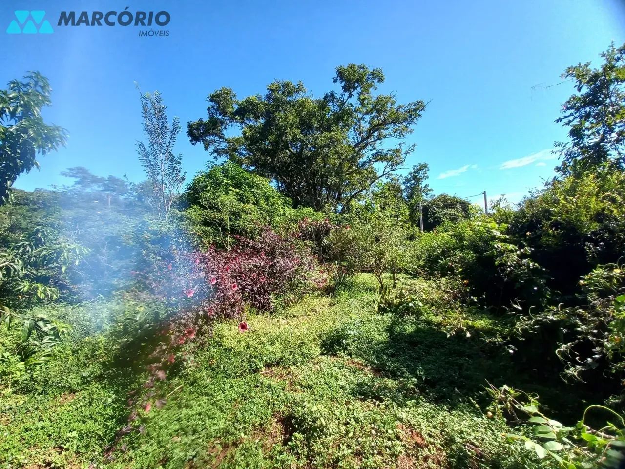 Chácara à venda, Condomínio das Palmeiras, Bela Vista de Goiás, GO - Foto 5