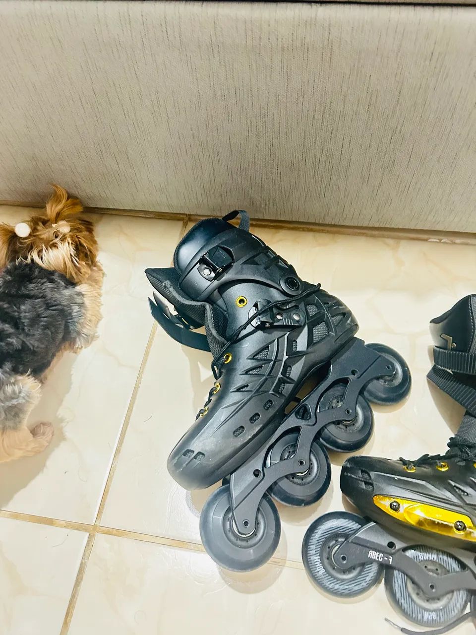 Patins  - Foto 3