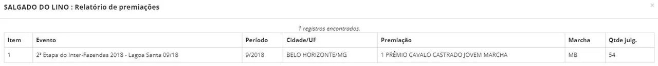 Cavalo Mangalarga Castrado Registrado - Foto 5