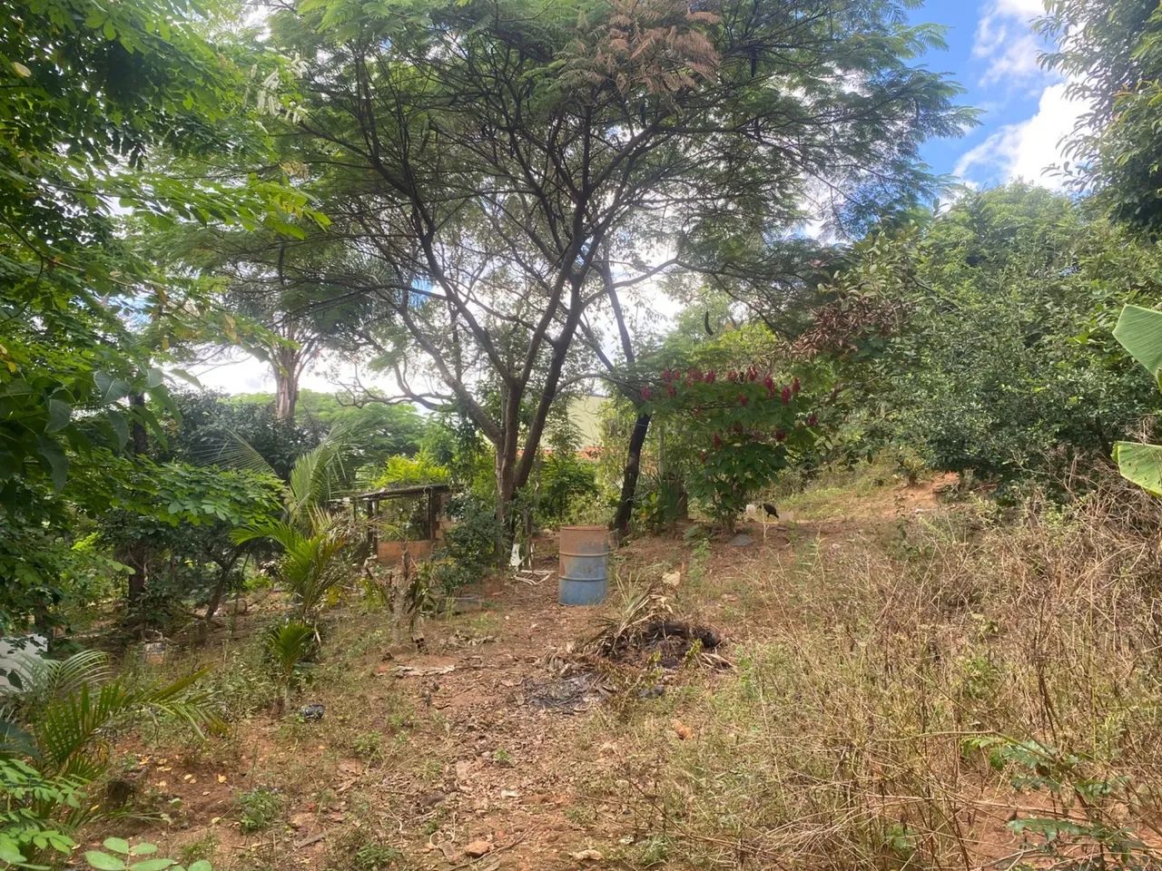 Vendo ou permuta  - Foto 2