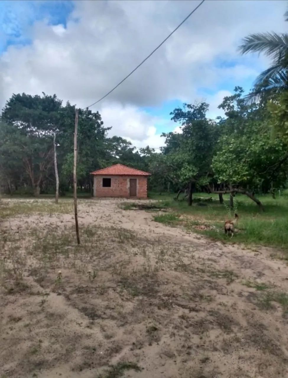 Sitio no Povoado Brejinho-MA - Foto 5