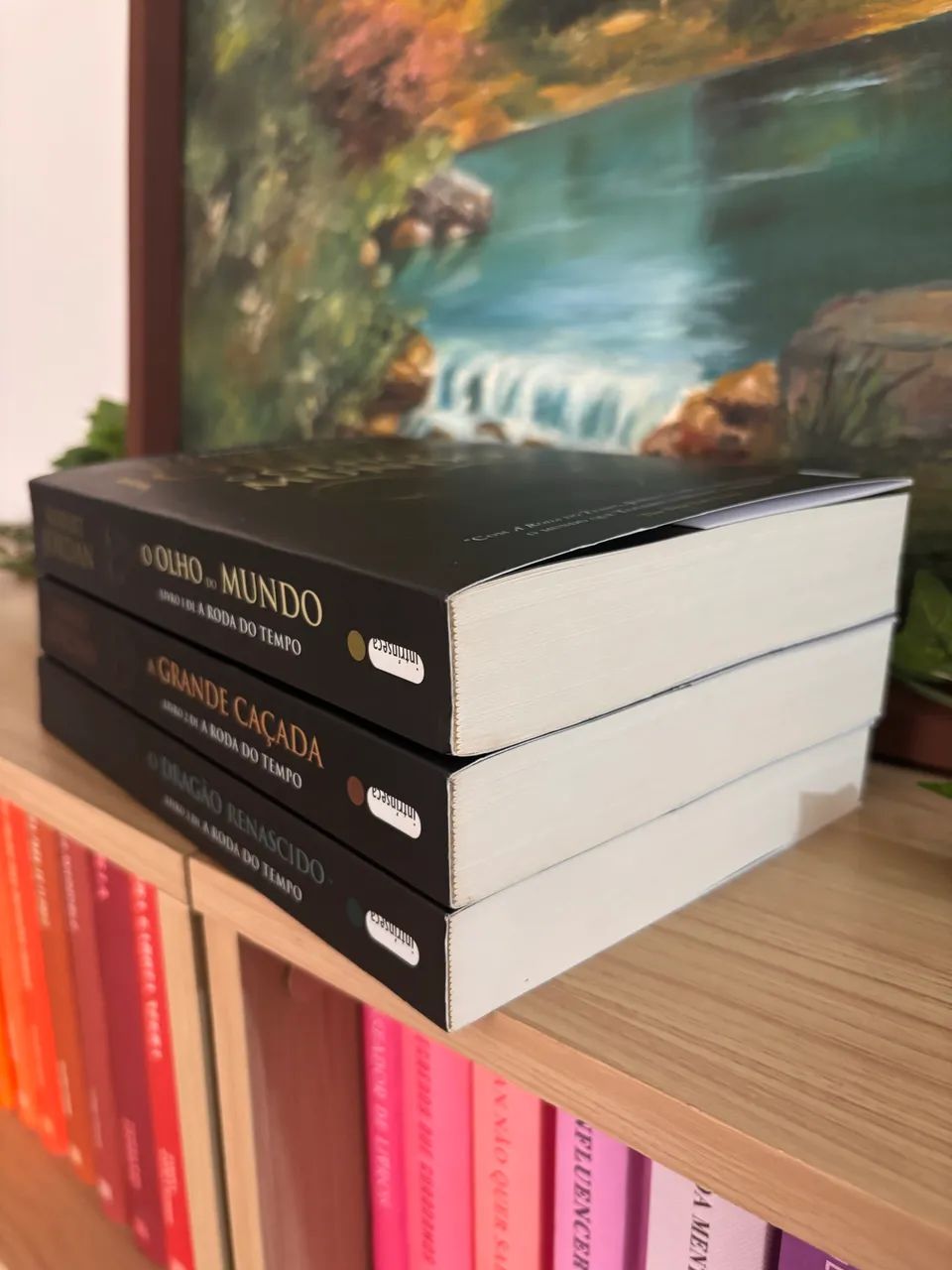 A RODA DO TEMPO - ROBERT JORDAN - Foto 4