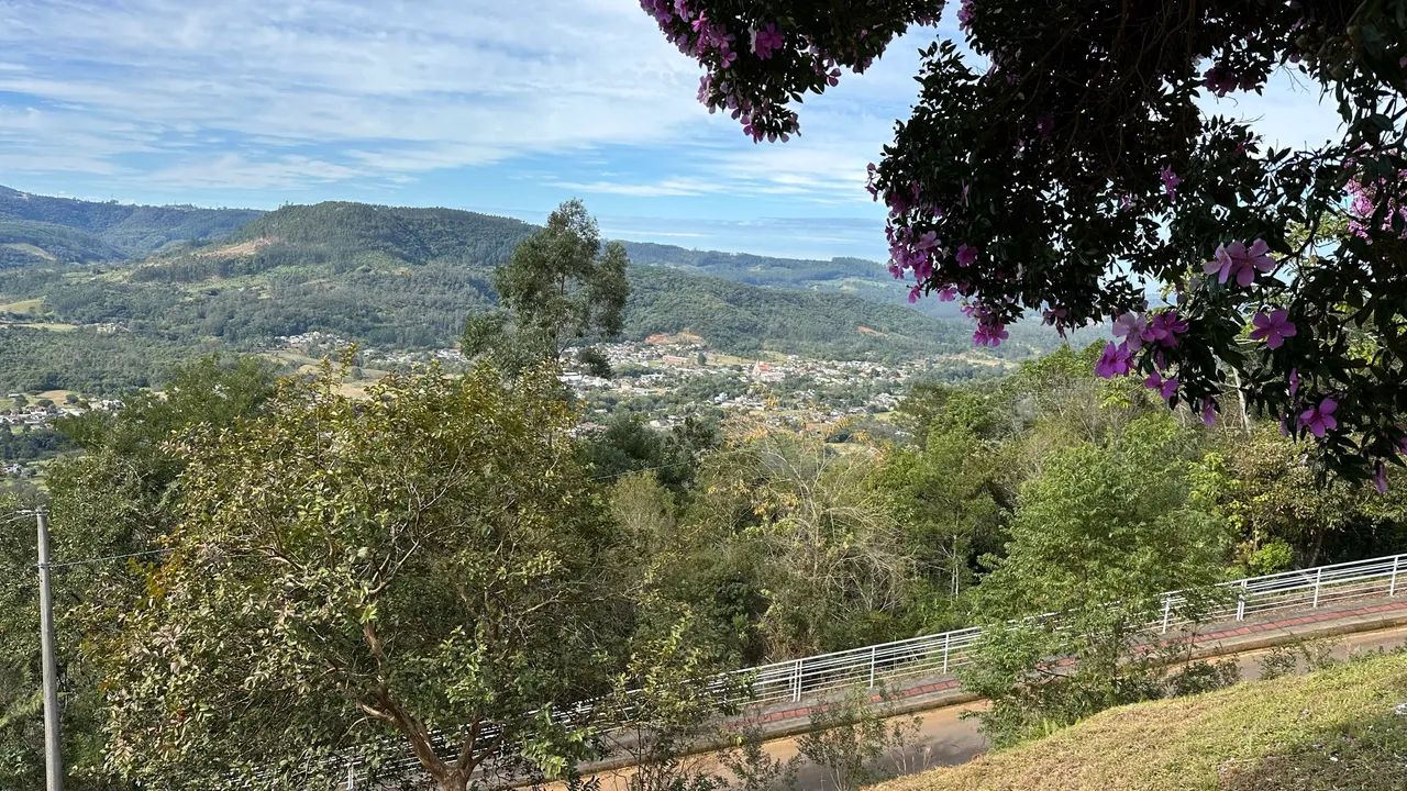 Ótima oportunidade de terreno para sítio ou investimento - Foto 2