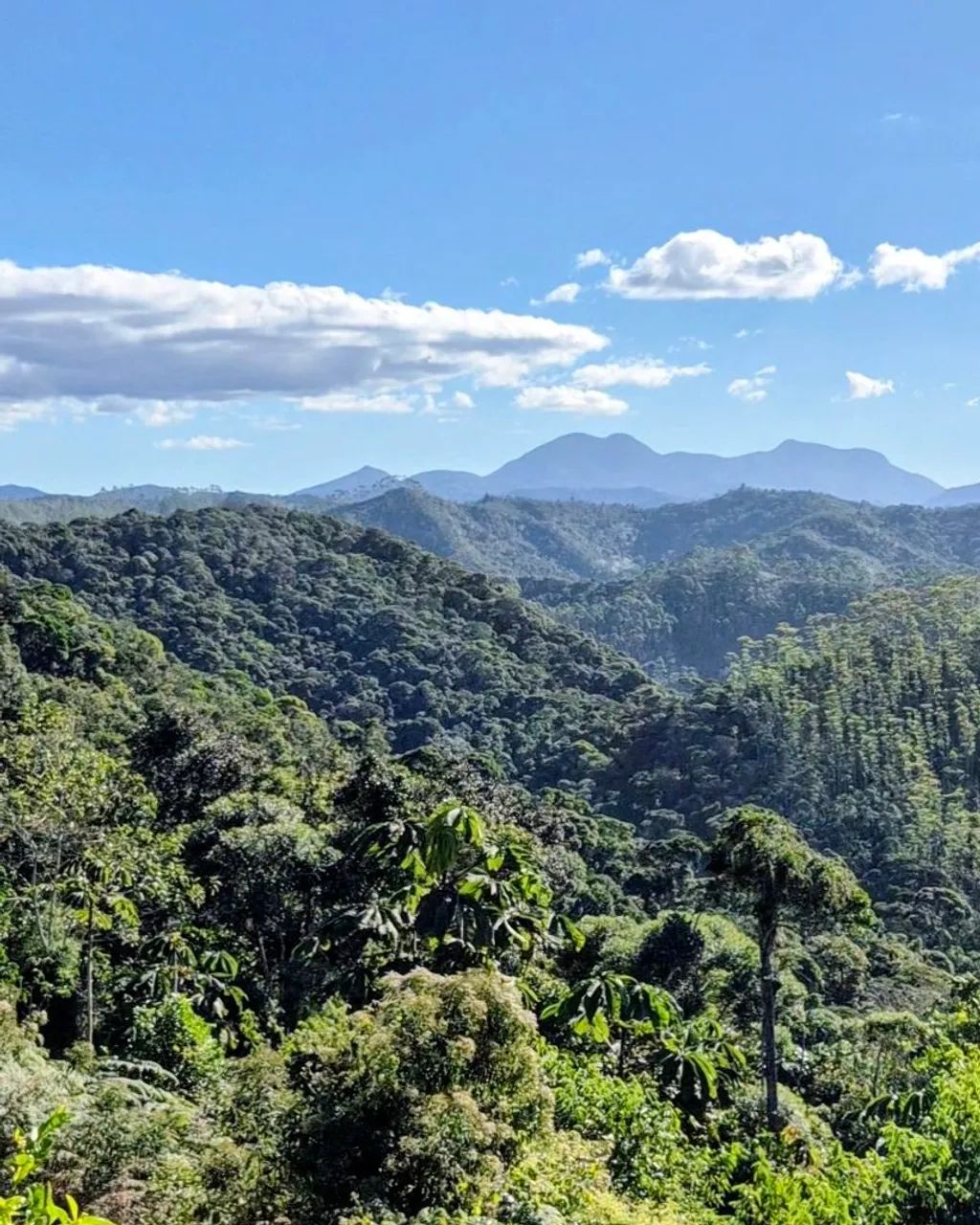 Chácara em Marechal Floriano/ES - Foto 5