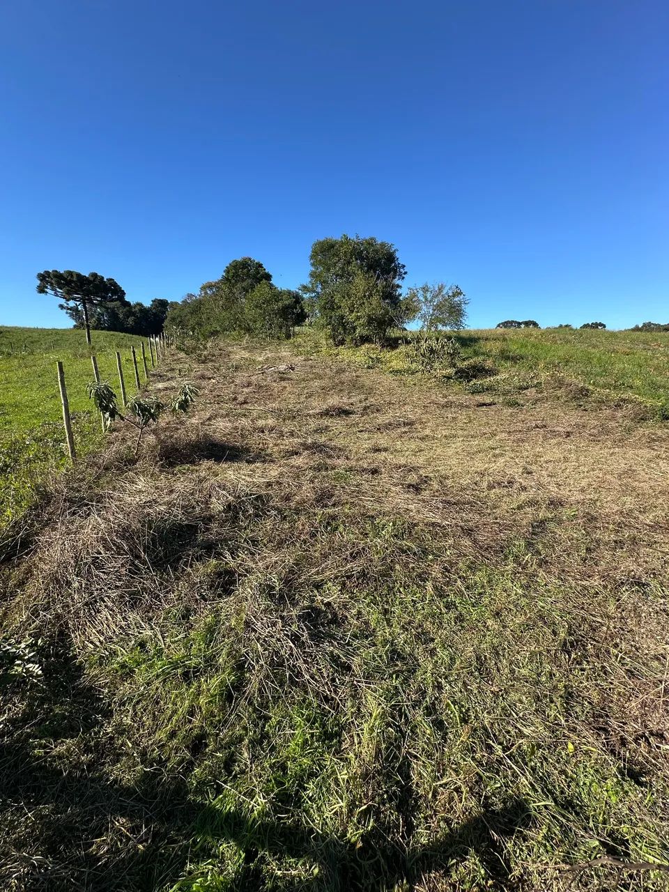 Terreno em contenda - Foto 3