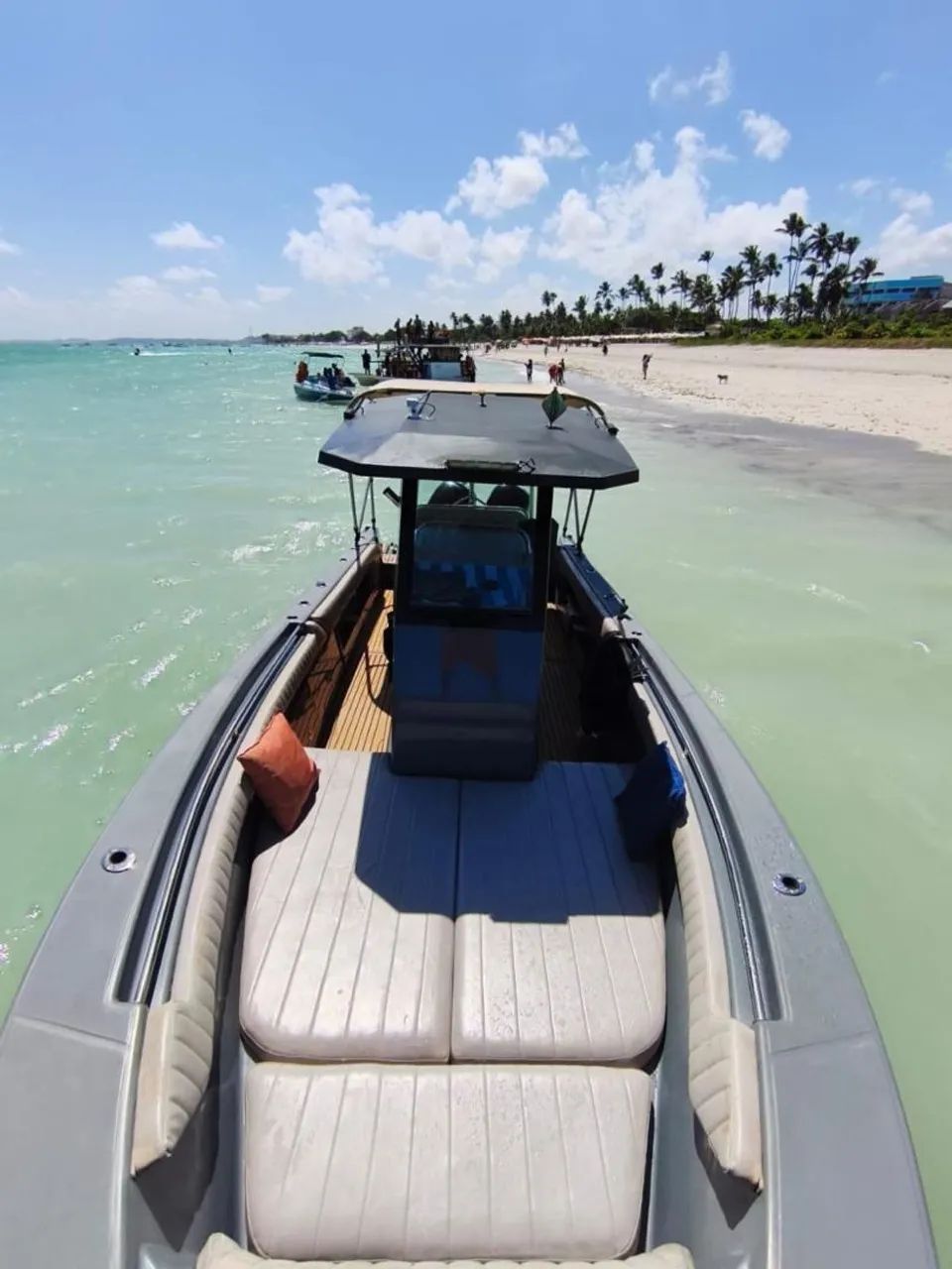 Top fish 245 .... show - Foto 6