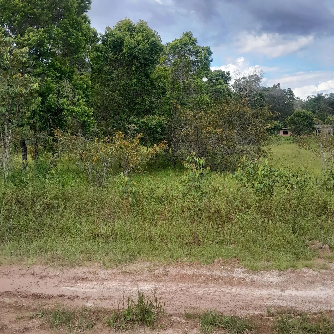 Vendo Terreno em Mosqueiro - Foto 4