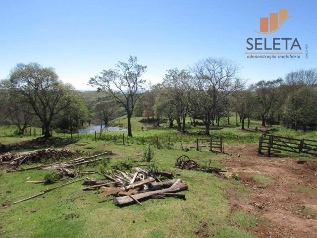 Fazenda- Venda- 8km da BR 277 - Foto 13