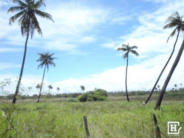 Terreno à venda - mosqueiro