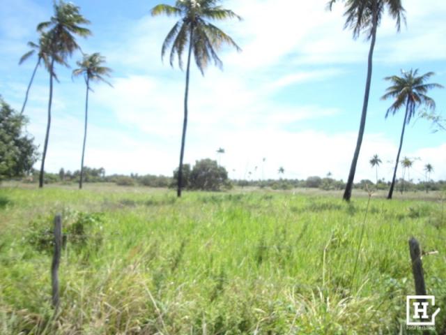 Terreno à venda - mosqueiro - Foto 8