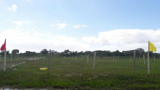 Cód 116 Lotes Prontos Para Construção!!! - Foto 4