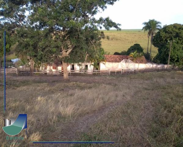 Sítio à venda em Zona rural, Araxa cod:FA01046