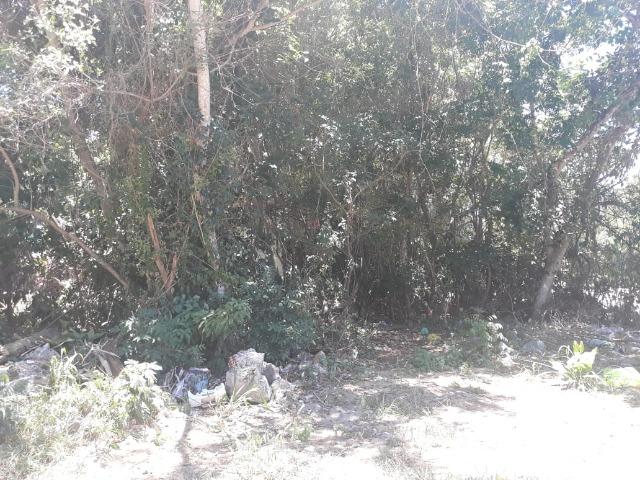 LCód: 27 Terreno no Bairro de Tucuns em Búzios/RJ - Foto 12