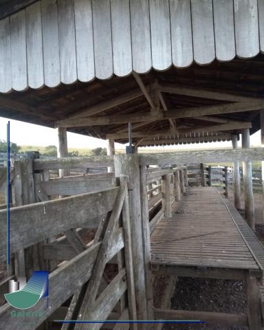 Sítio à venda em Zona rural, Araxa cod:FA01046 - Foto 17