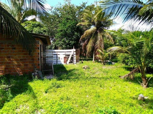 Sitio ótimo para morar e produzir ! - Foto 12