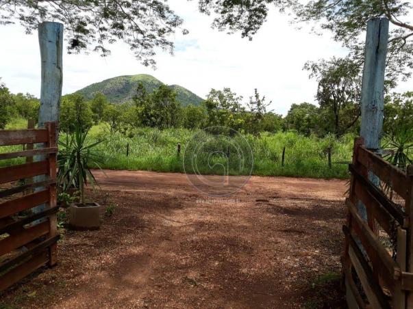 Chácara comunidade de morrinho - Foto 7