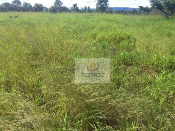 Fazenda com - 88 alqueires - R$ 3.000.000 - Miracema do TO. - Foto 15