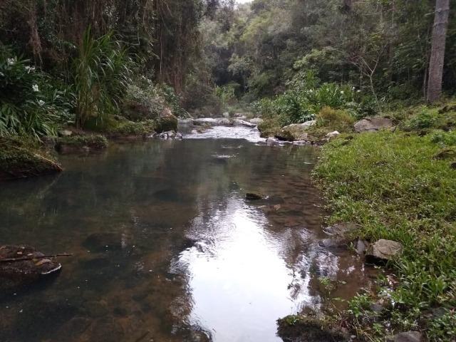 Lindo sítio em Itaiópolis - Foto 7